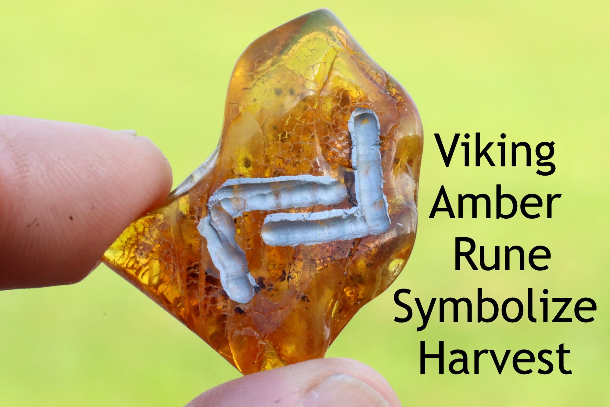 Viking Rune Harvest Symbol.