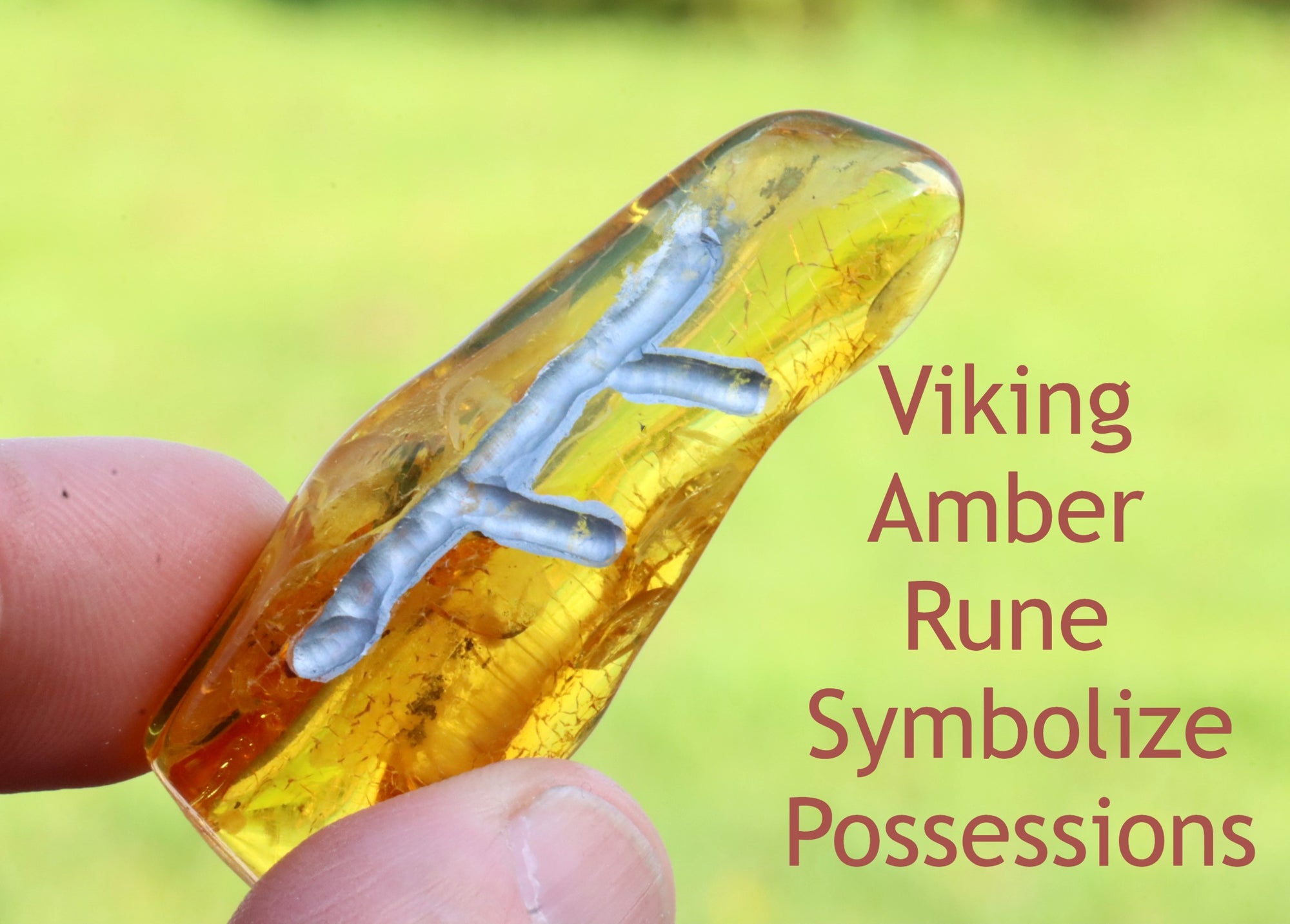 Viking Rune Possessions Symbol