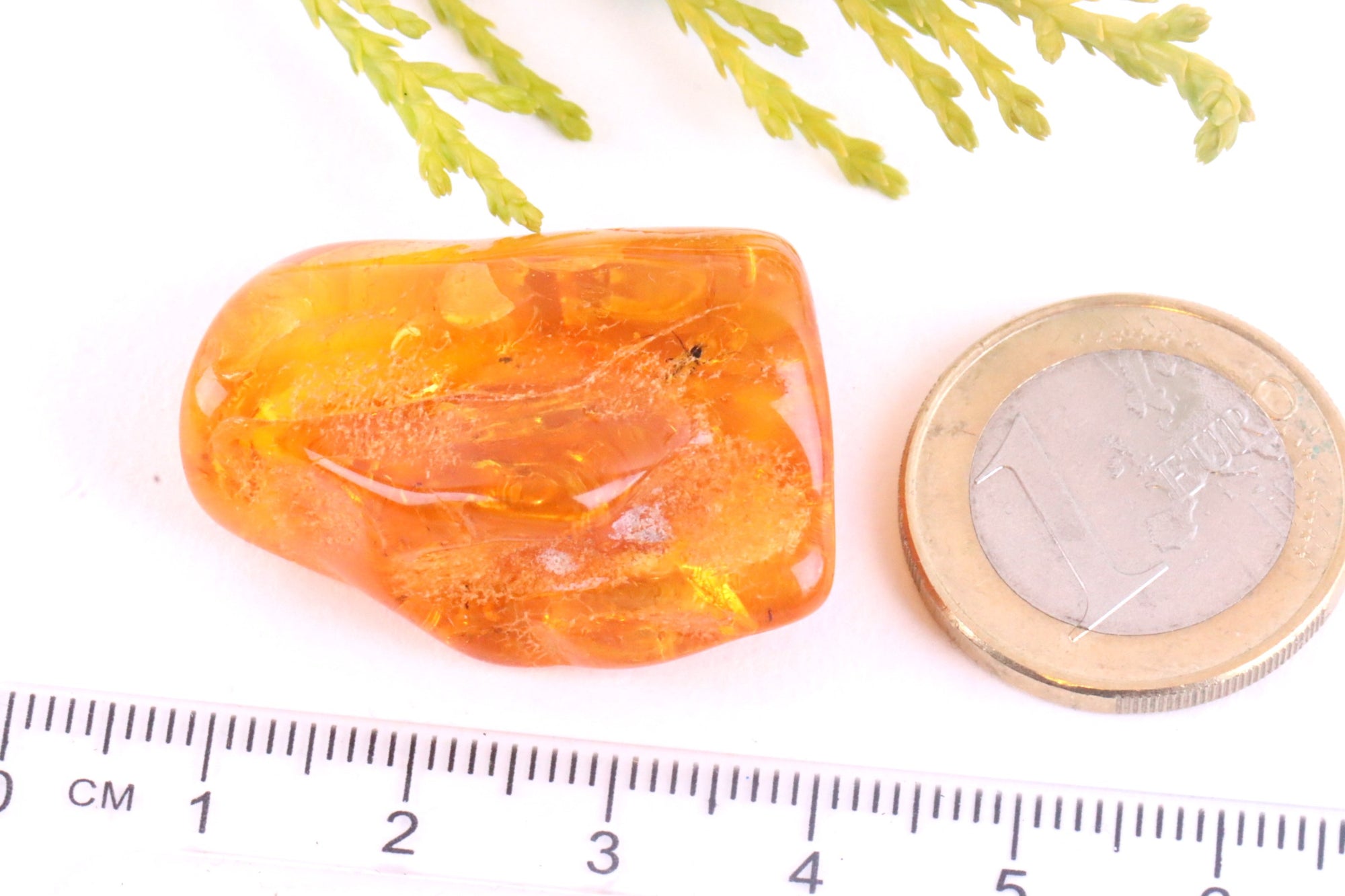 Baltic Amber Gem With Insect Inclusions