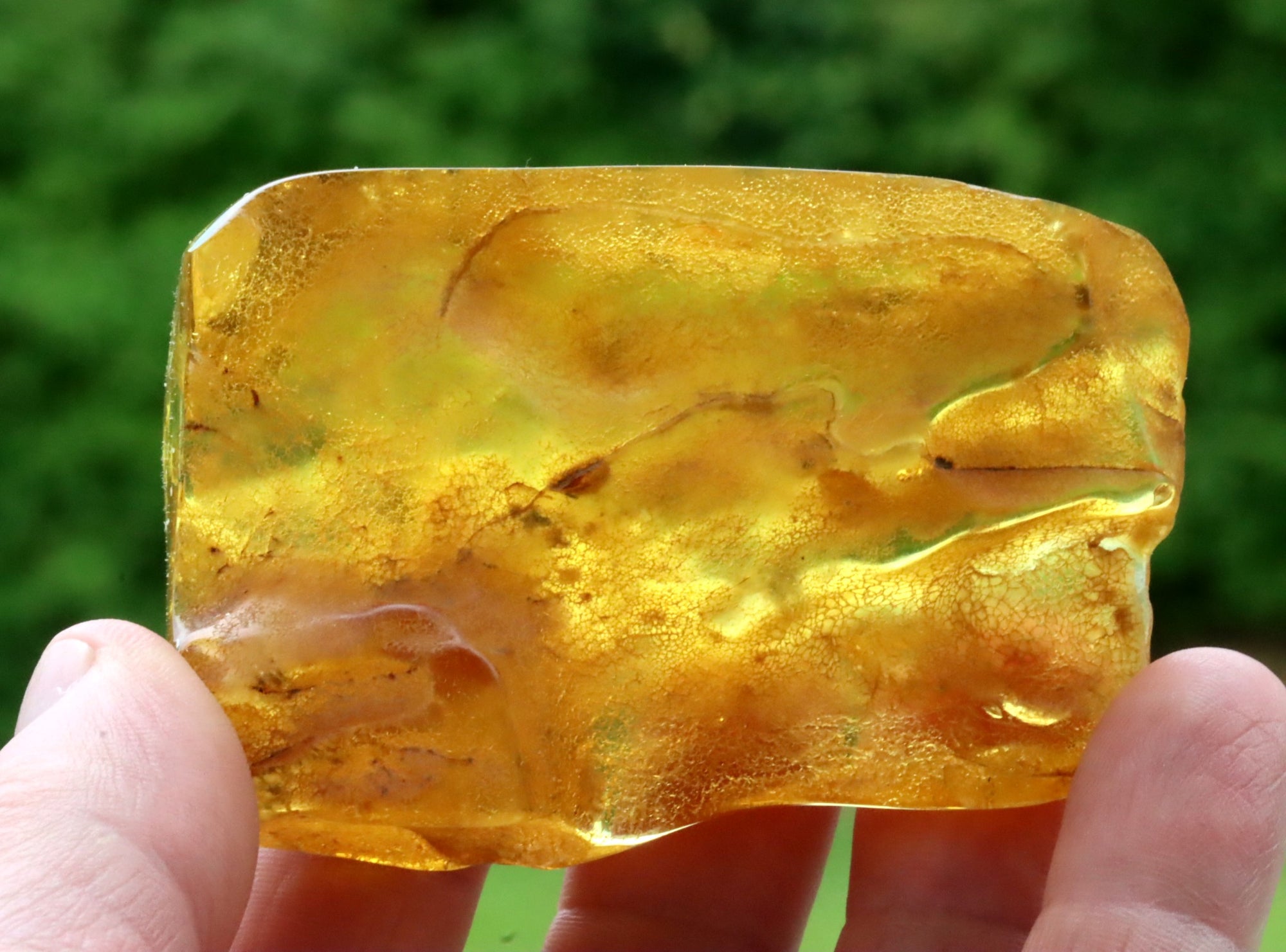 Large Amber Gem with 2 Insect Inclusions