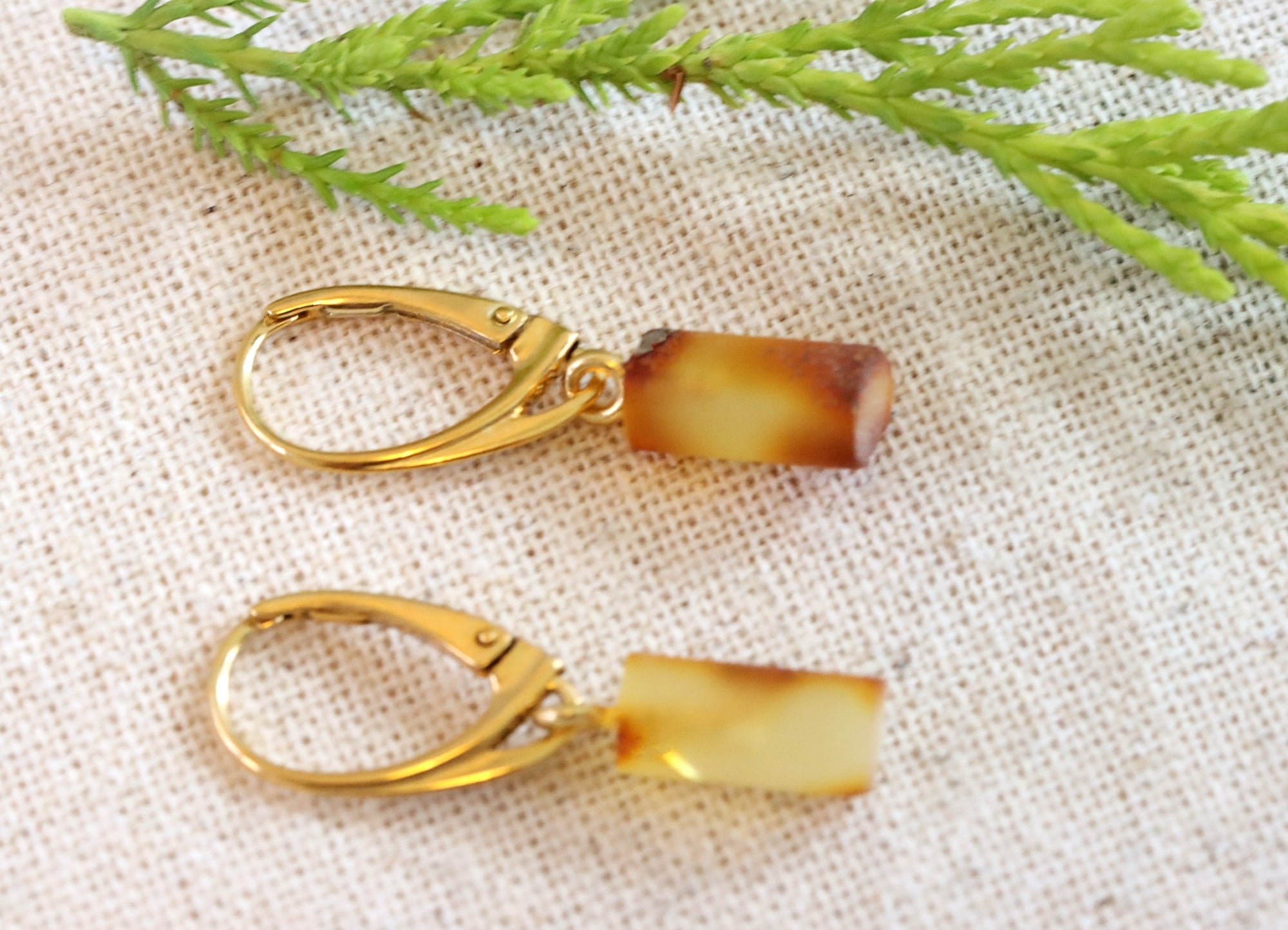 Gender Neutral Jewelry Natural Amber on Gold Plated Silver Earrings
