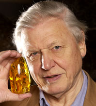 Happy Birthday Sir David Attenborough