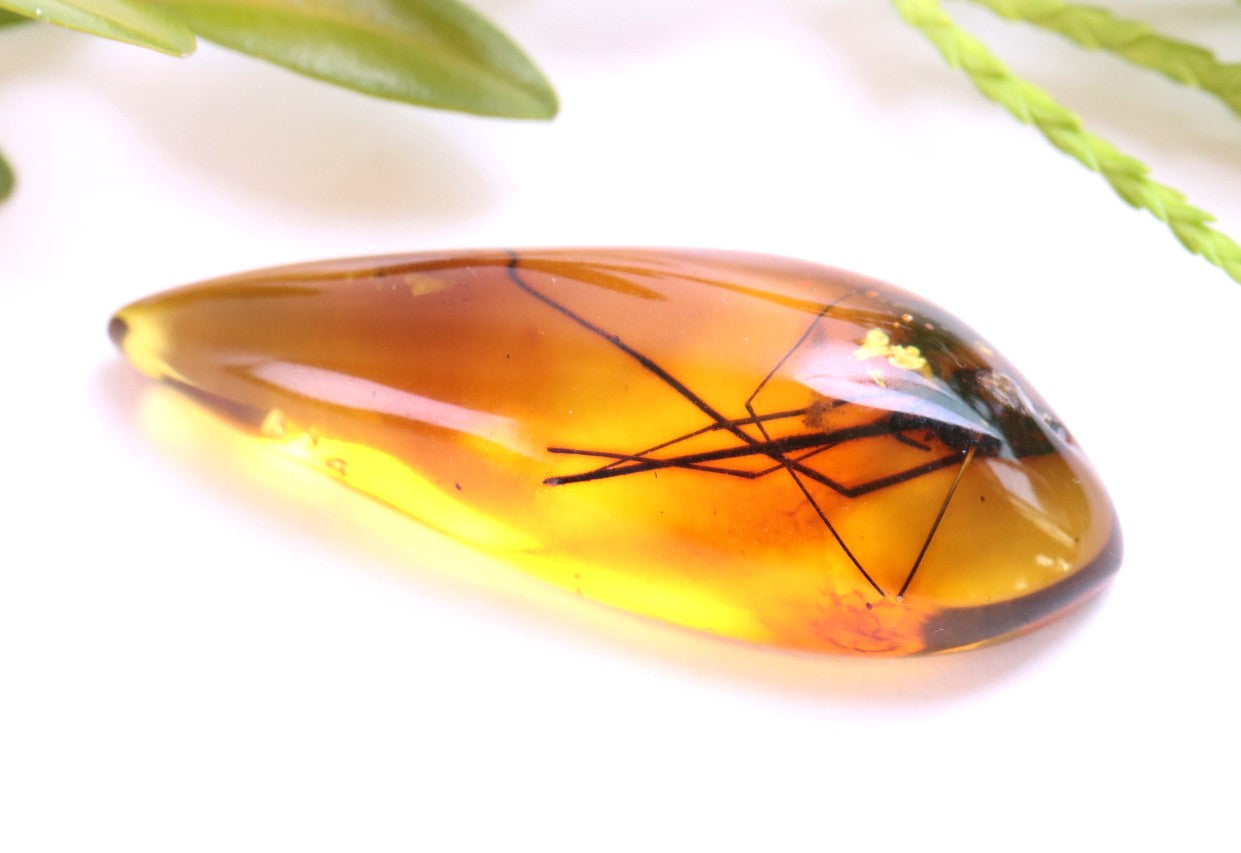 Fly fossil trapped in an amber gem.  Amber Inclusions are fascinating glimpses into our past.  Every changing selection if insect inclusions available at Amber SOS