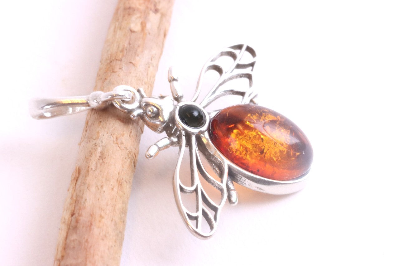 Nature Collection