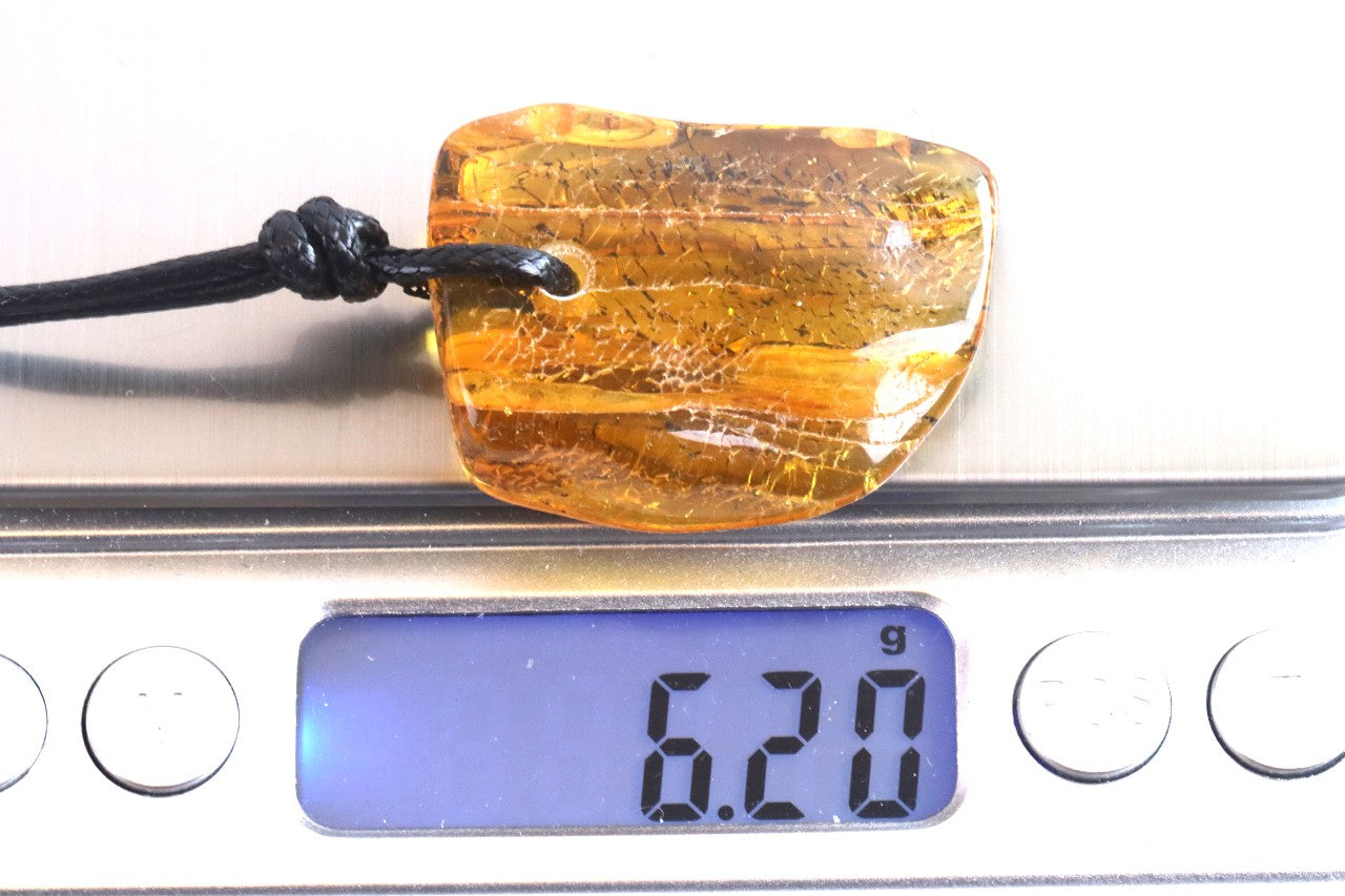 Insect in Baltic Amber Amulet Pendant