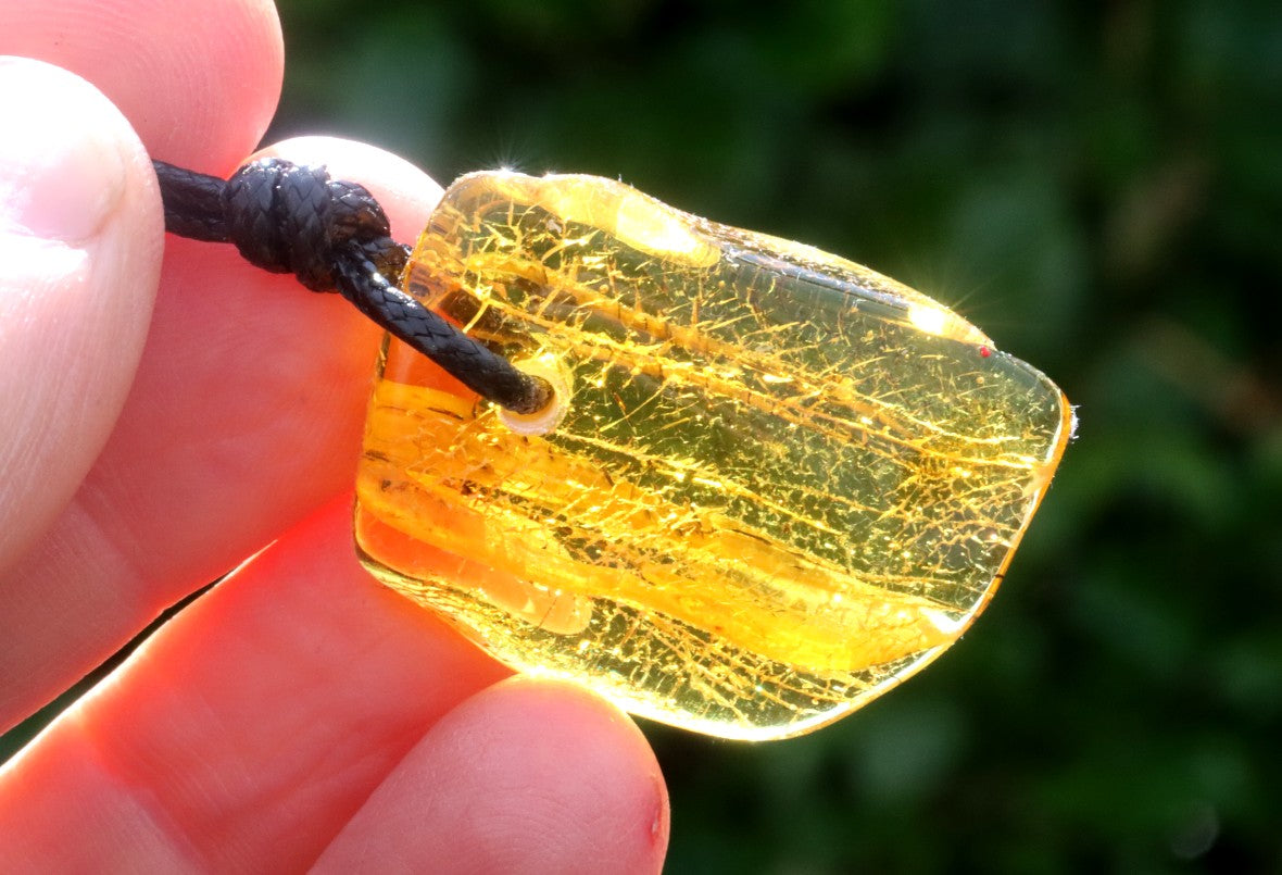 Insect in Baltic Amber Amulet Pendant