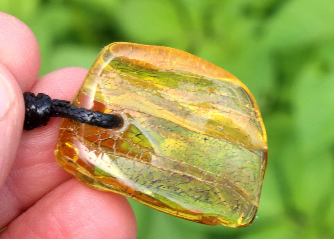 Insect in Baltic Amber Amulet Pendant
