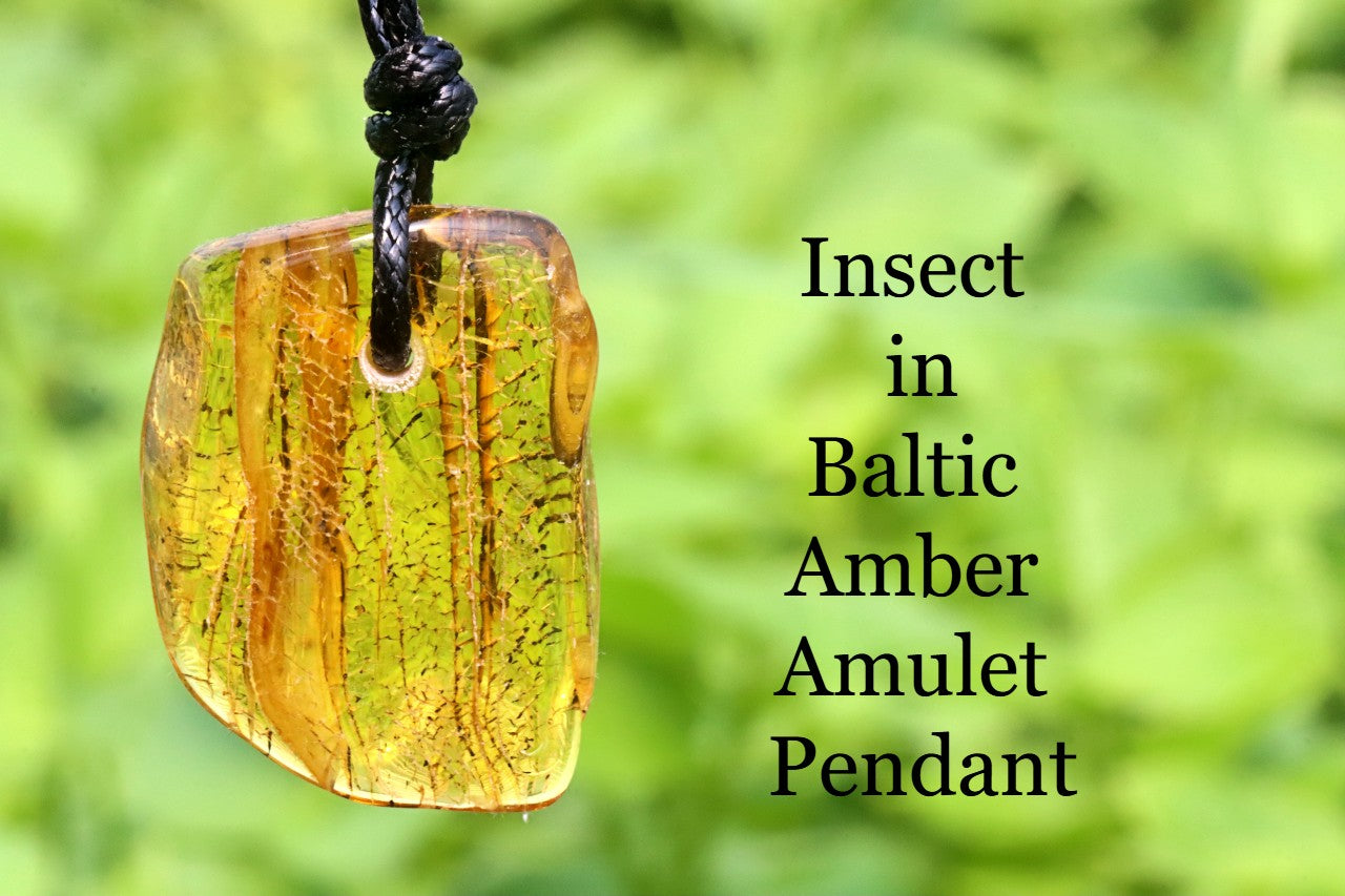 Insect in Baltic Amber Amulet Pendant