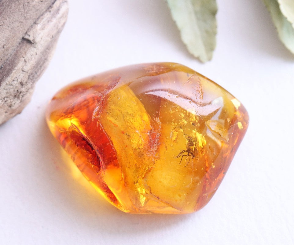 Baltic Amber 40 million year old Insects  Inclusion