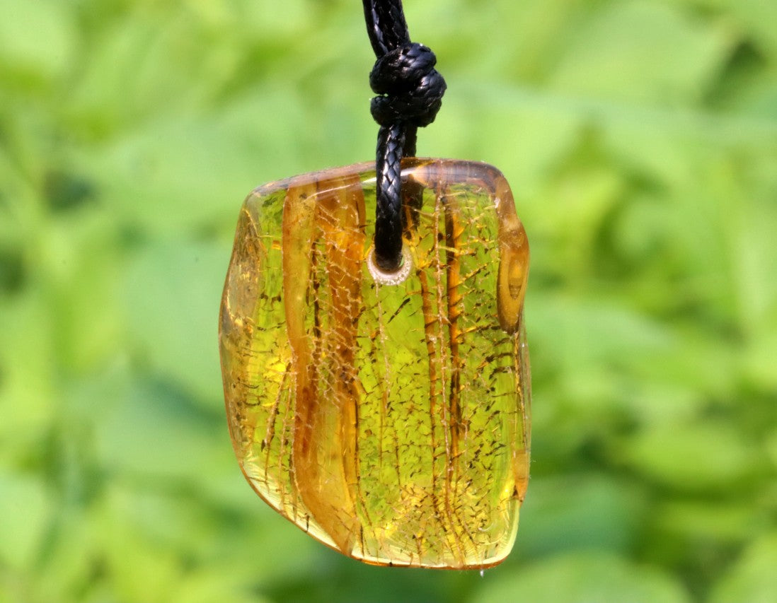 Insect in Baltic Amber Amulet Pendant
