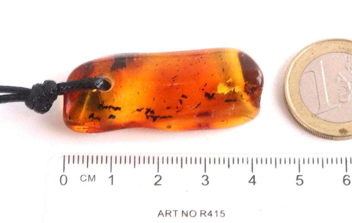 Baltic Amber Amulet Pendant with Insect Inclusion