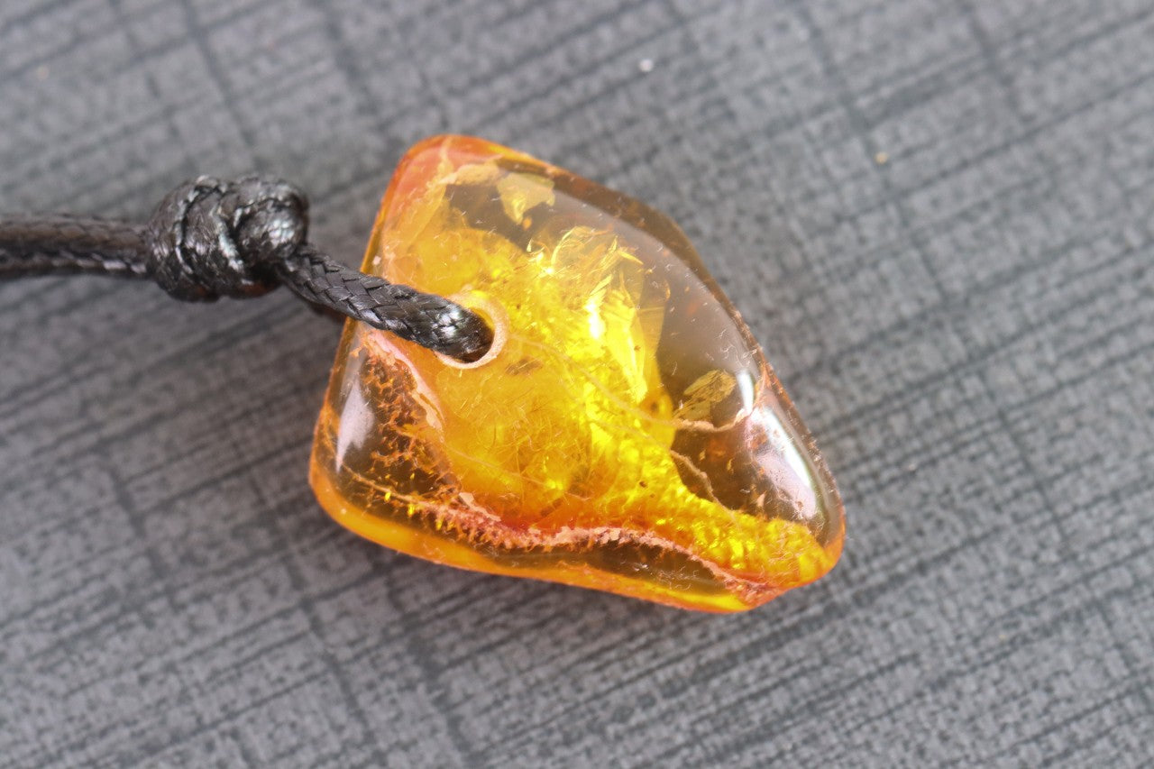 Unusal Insect in Baltic Amber Amulet