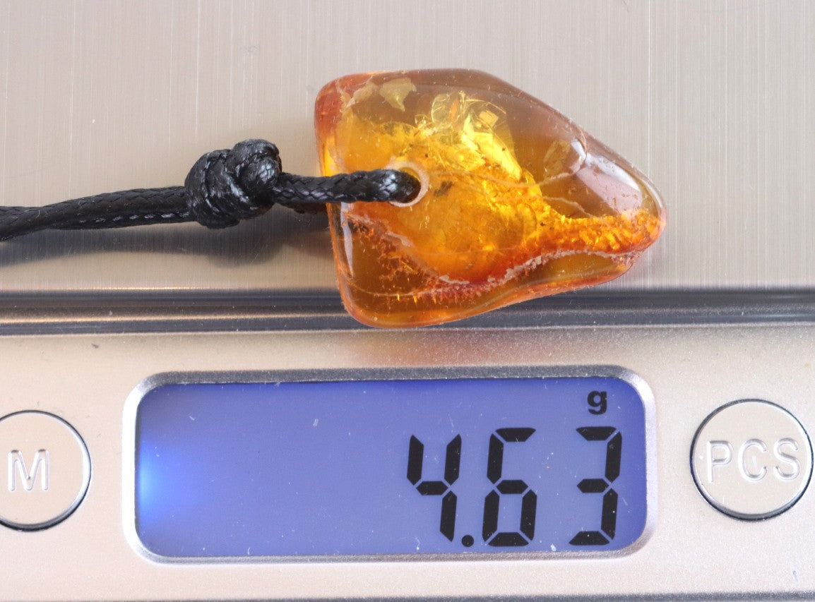 Unusal Insect in Baltic Amber Amulet