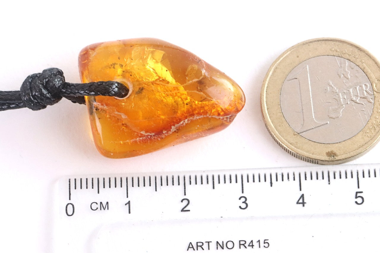 Unusal Insect in Baltic Amber Amulet