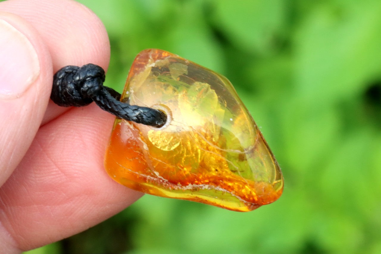 Unusal Insect in Baltic Amber Amulet