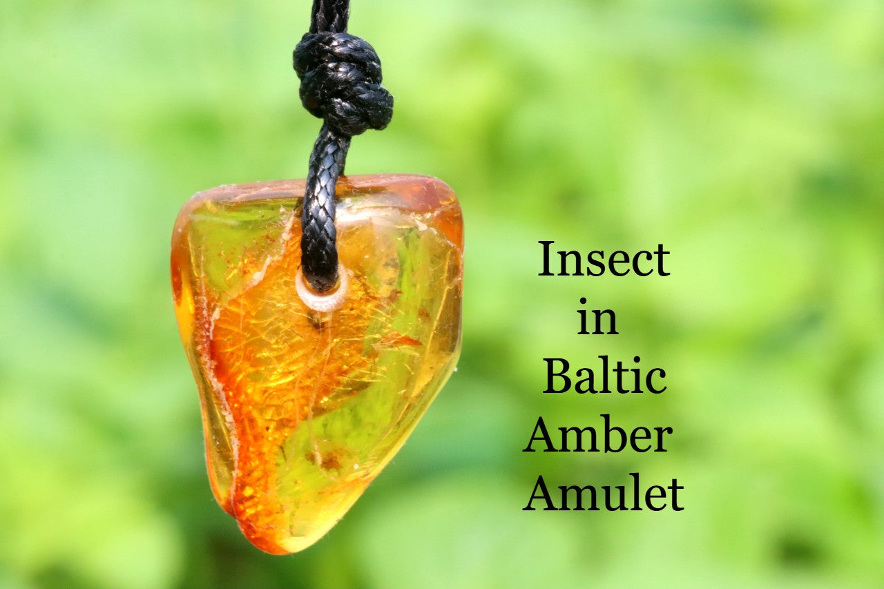 Unusal Insect in Baltic Amber Amulet