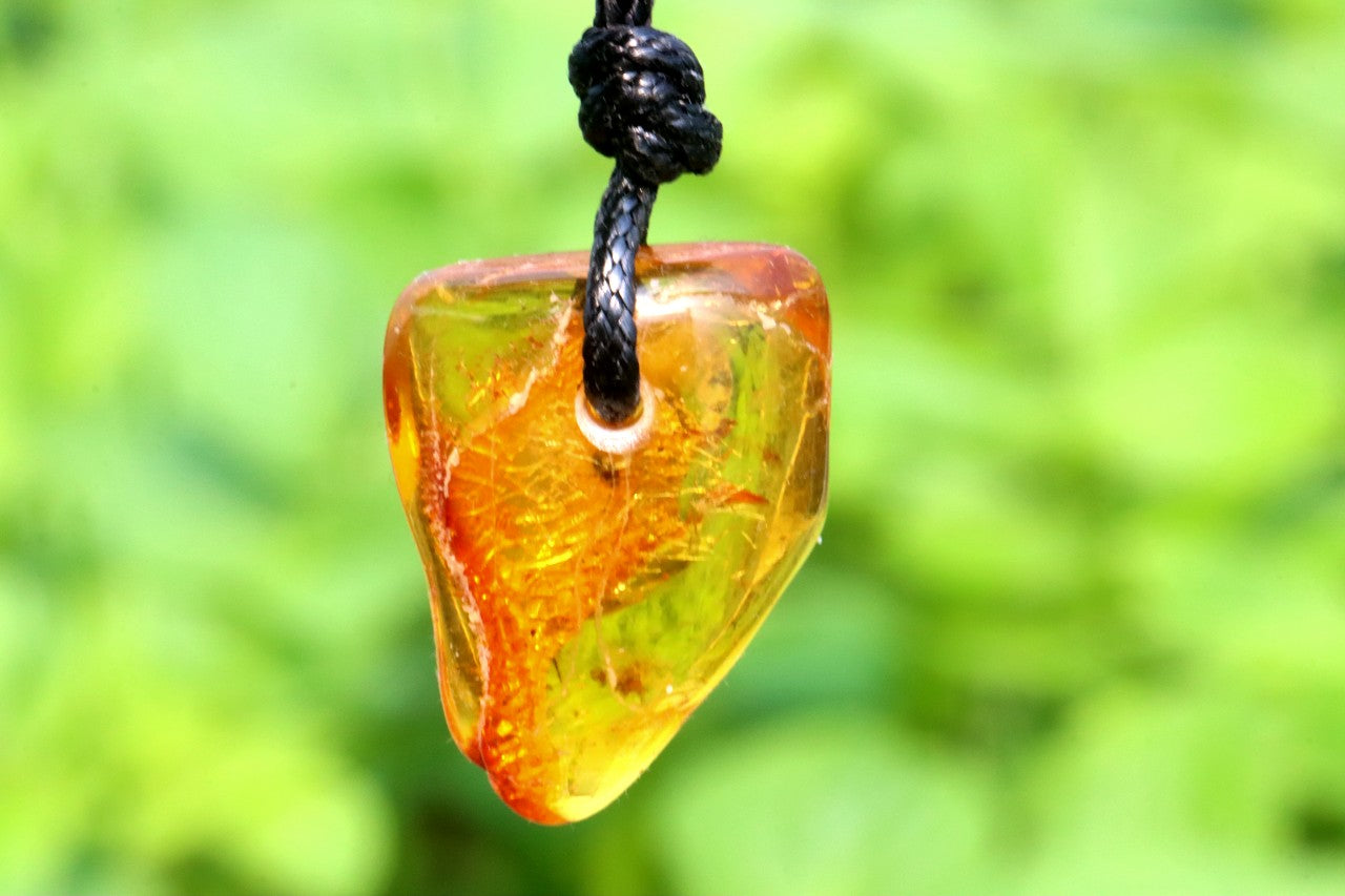 Unusal Insect in Baltic Amber Amulet