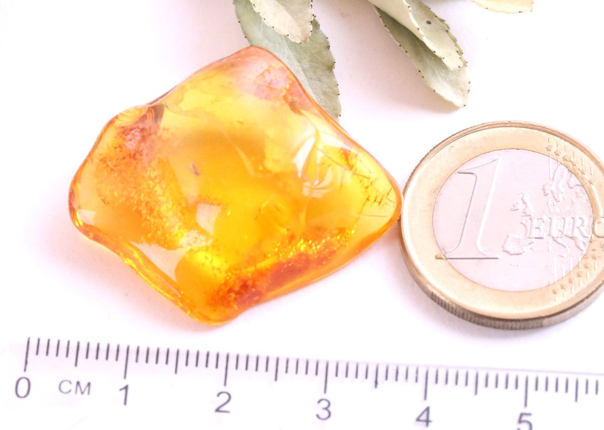 Geology Gift Baltic Amber Inclusion Collector's Gem