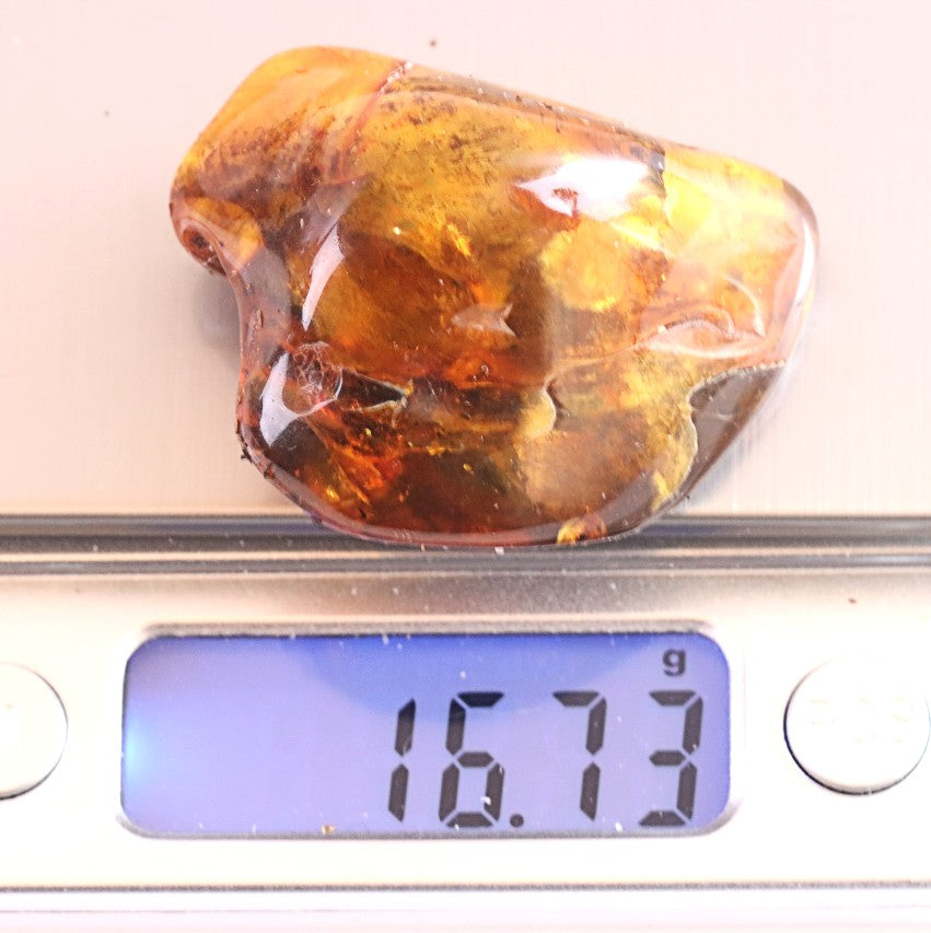 Baltic Amber Meditation Stone