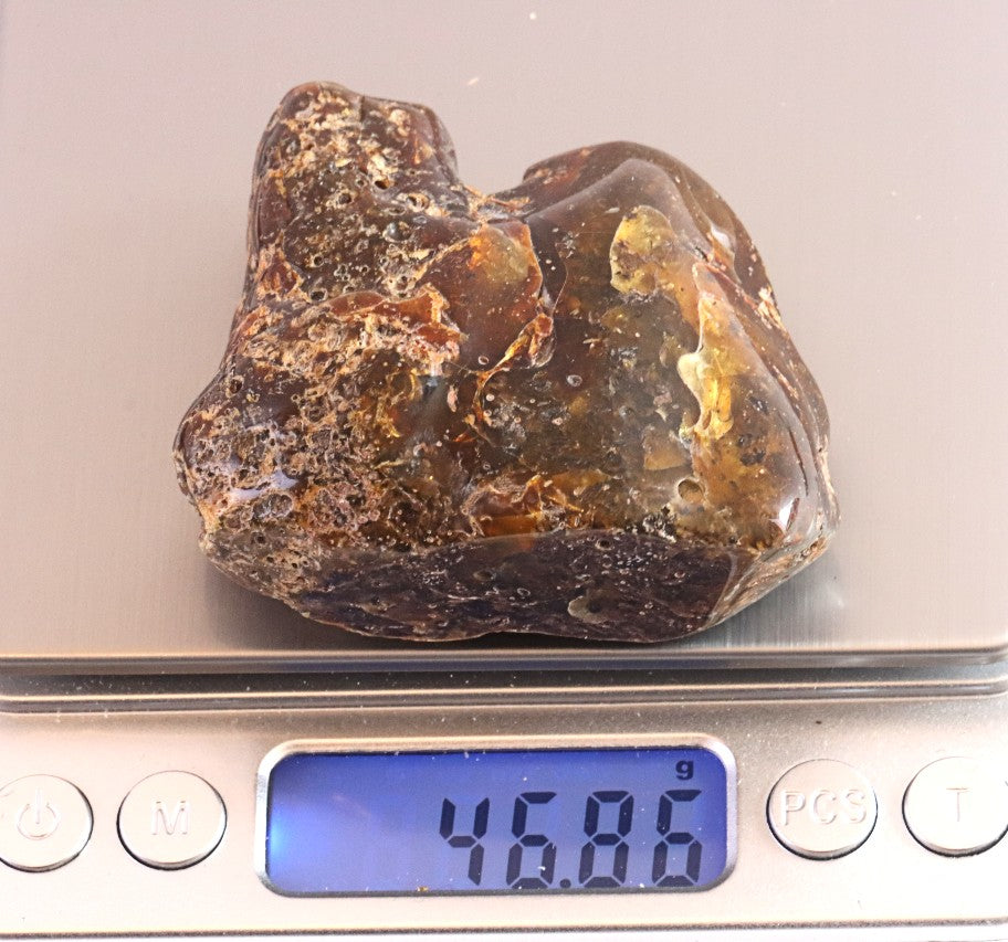 Natural Baltic Amber Archaeology Collector's Gem