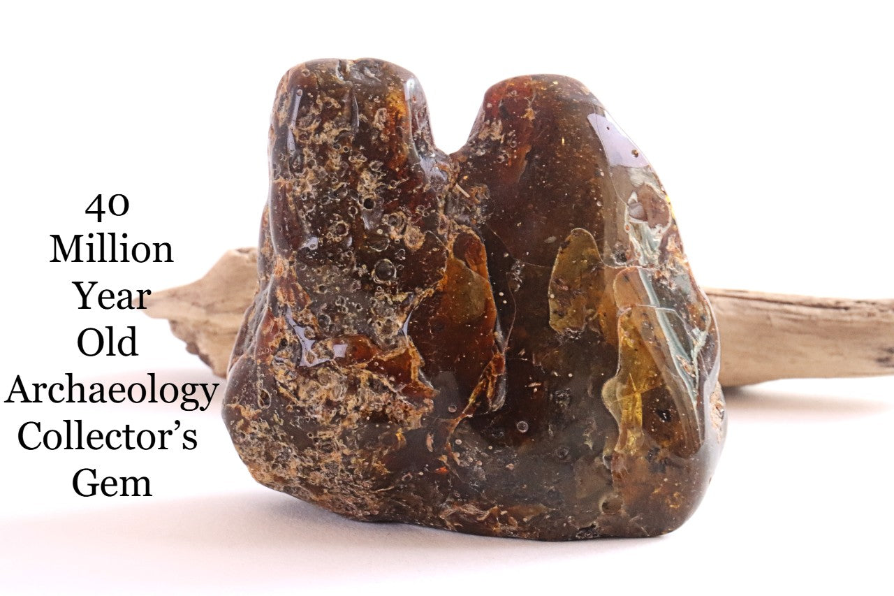 Natural Baltic Amber Archaeology Collector's Gem