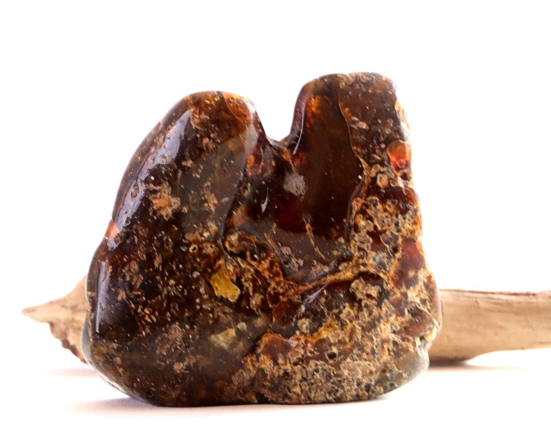 Natural Baltic Amber Archaeology Collector's Gem