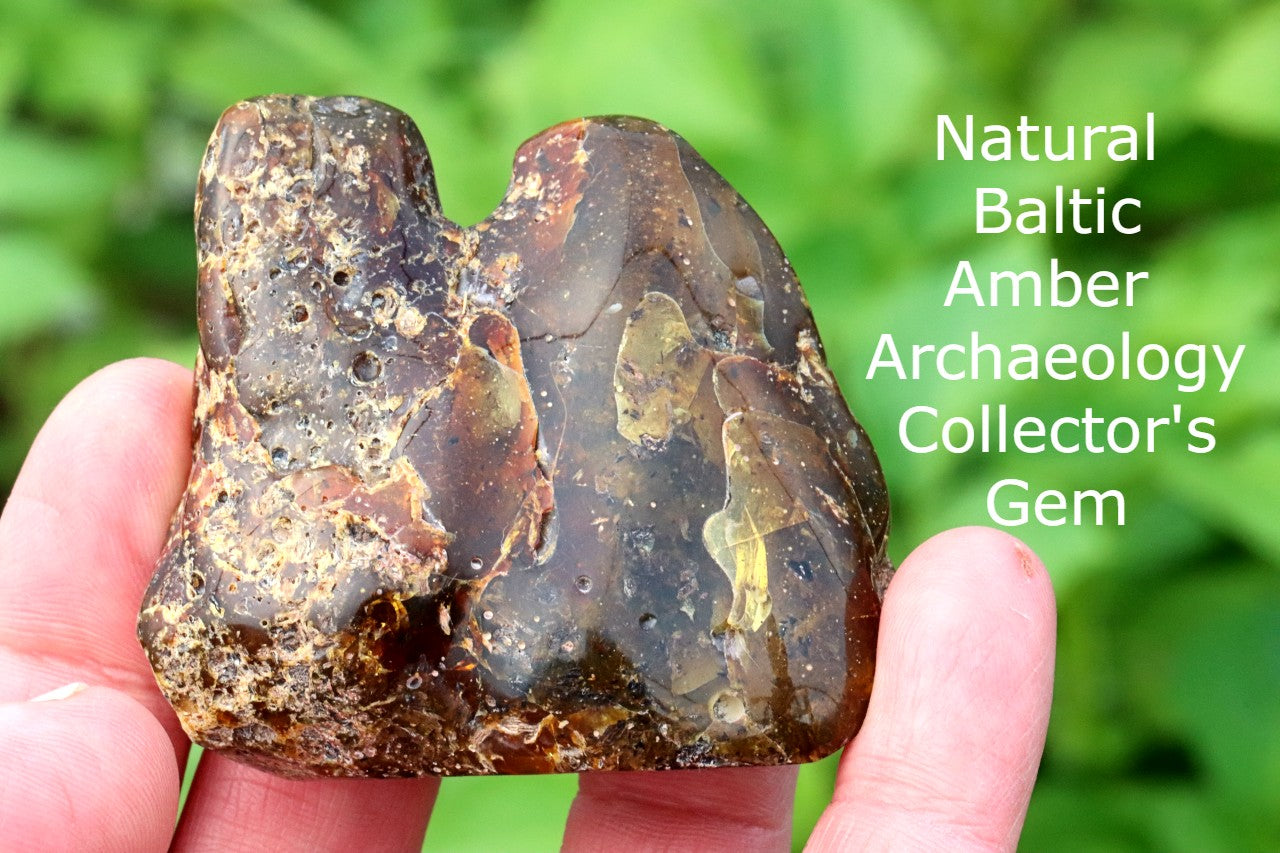 Natural Baltic Amber Archaeology Collector's Gem