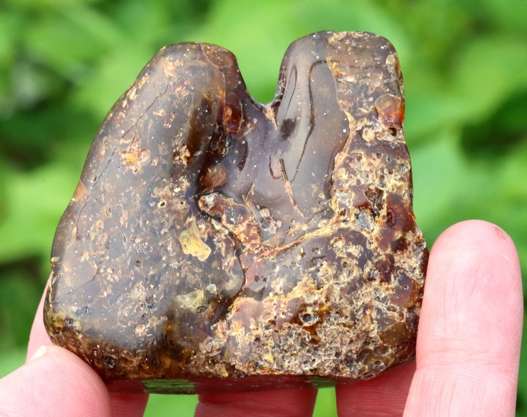 Natural Baltic Amber Archaeology Collector's Gem