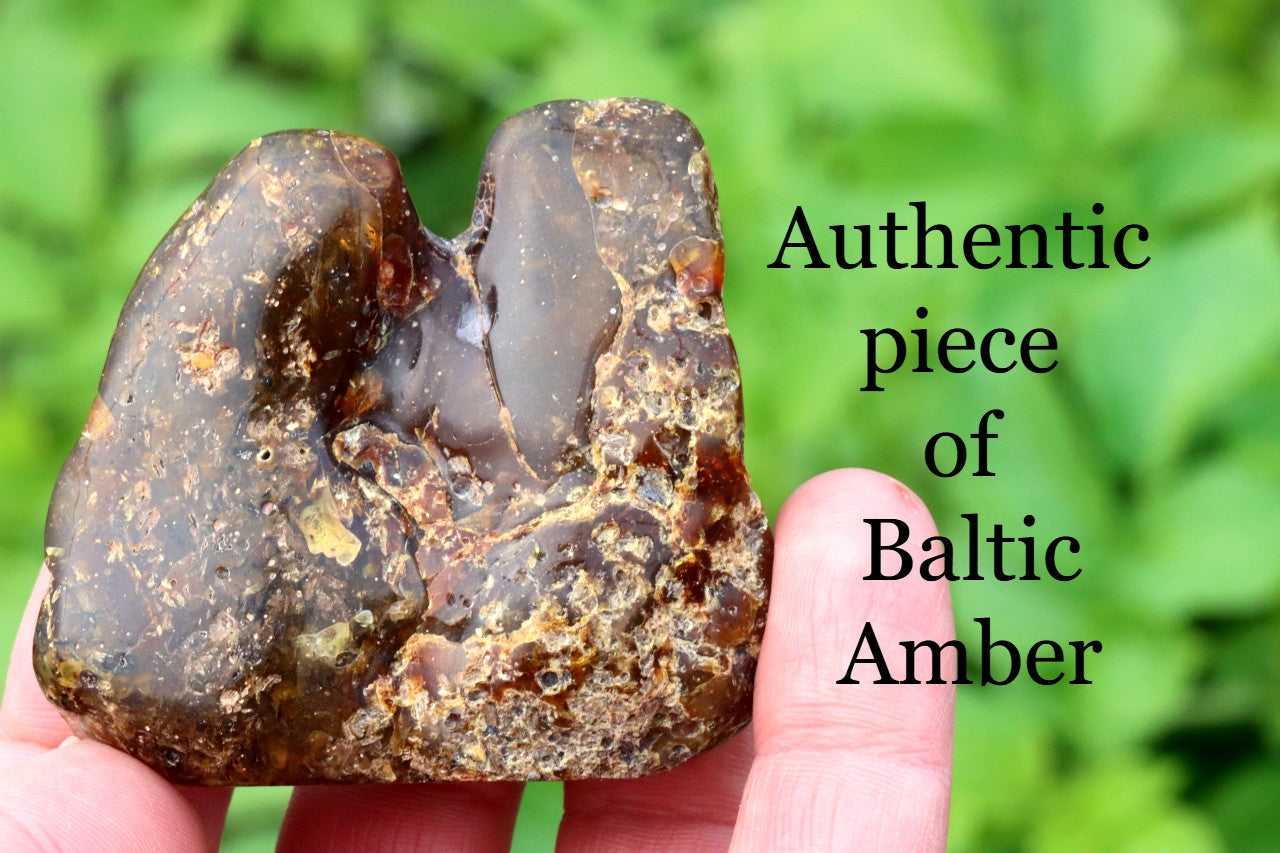 Natural Baltic Amber Archaeology Collector's Gem