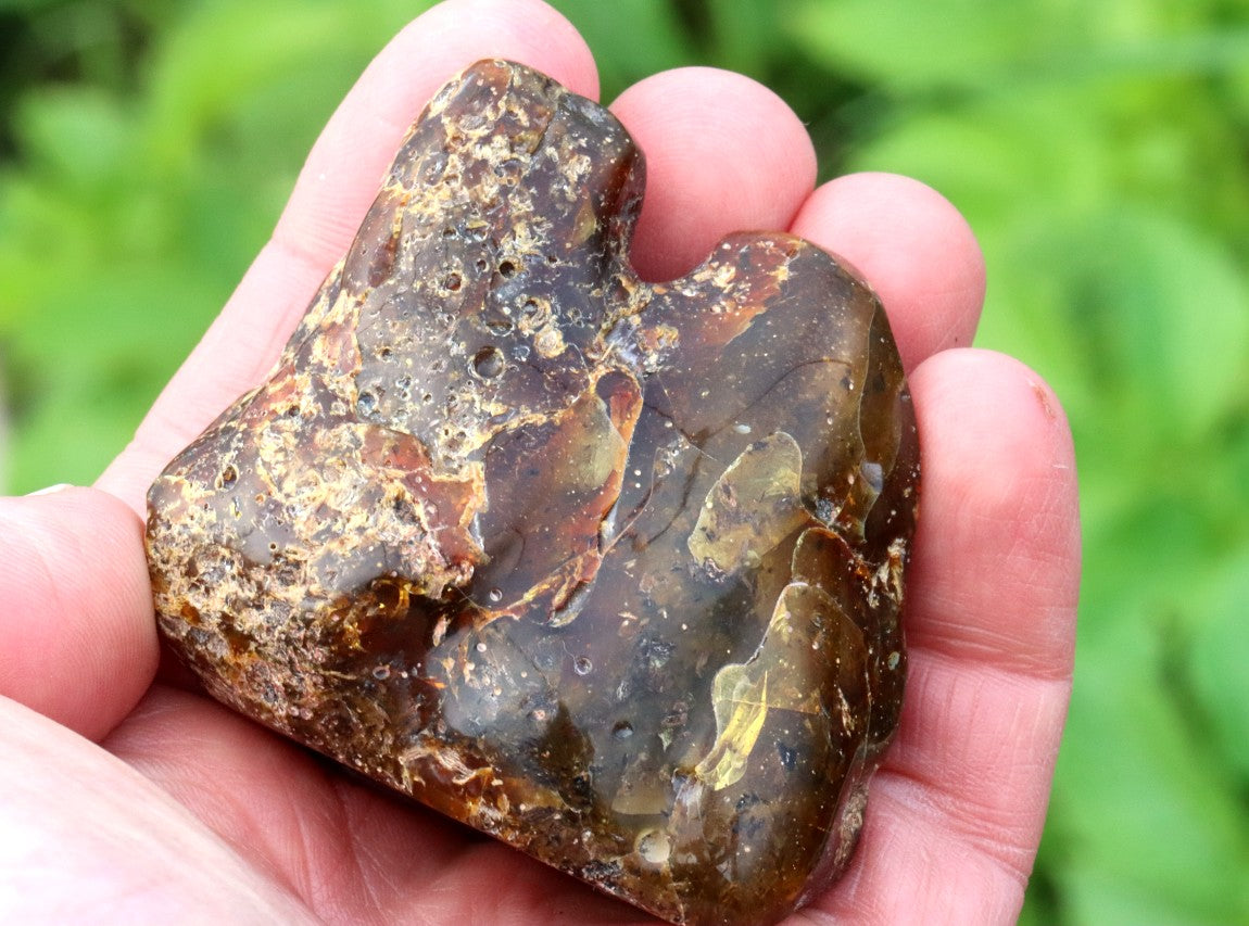 Natural Baltic Amber Archaeology Collector's Gem
