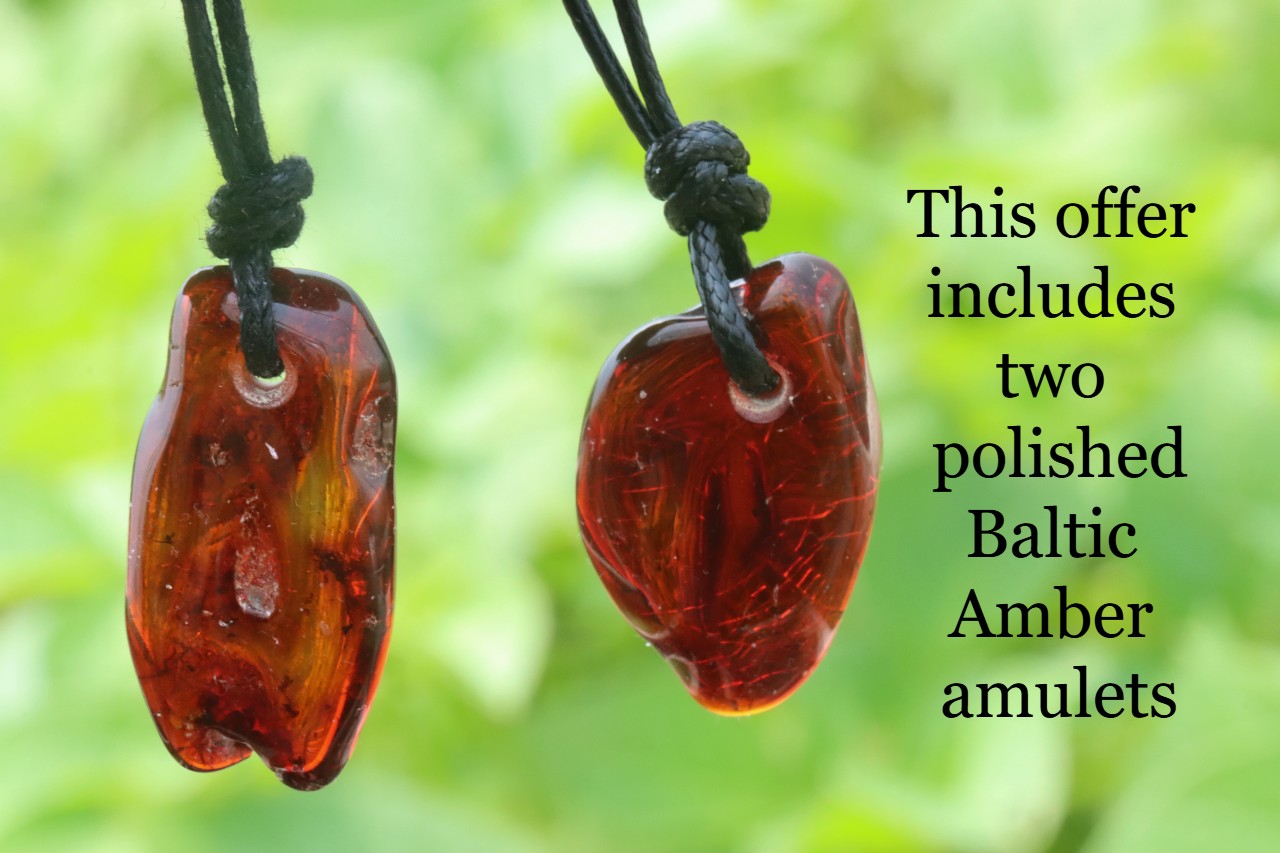 Set of 2 X Baltic Amber Amulet Pendants