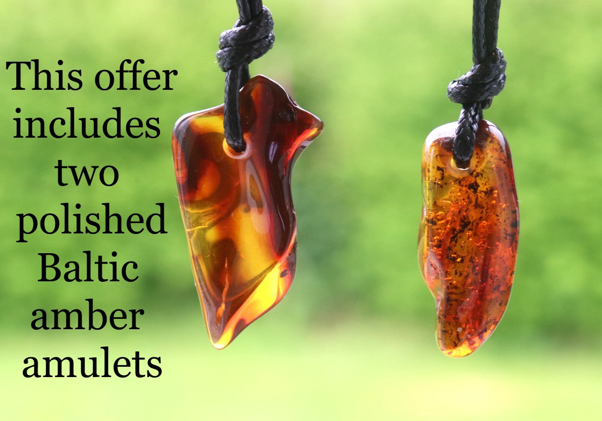 Set of 2 Polished Baltic Amber Amulet Pendants