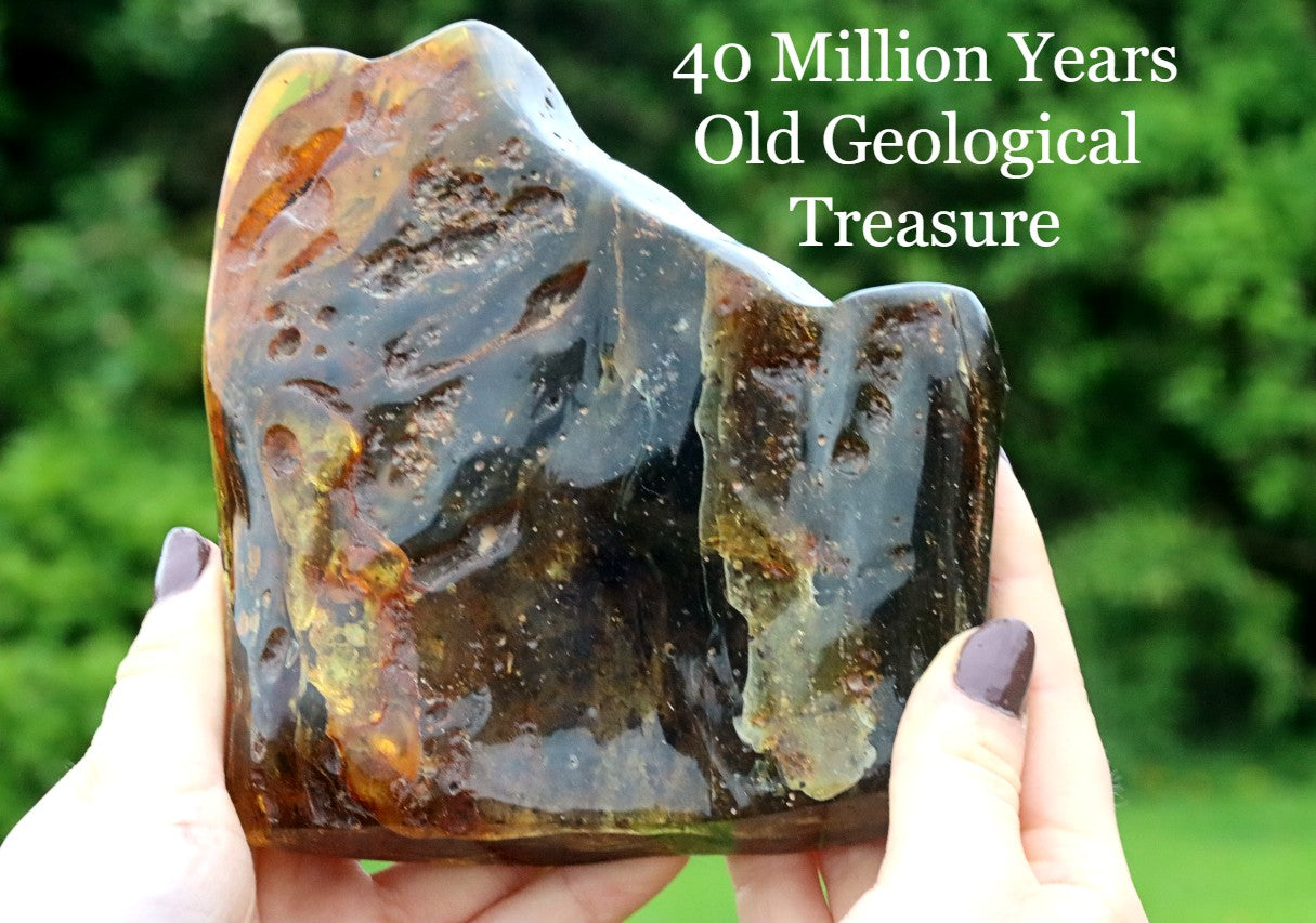 Geological specimen held by a person with text indicating its age and nature.