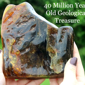 Geological specimen held by a person with text indicating its age and nature.