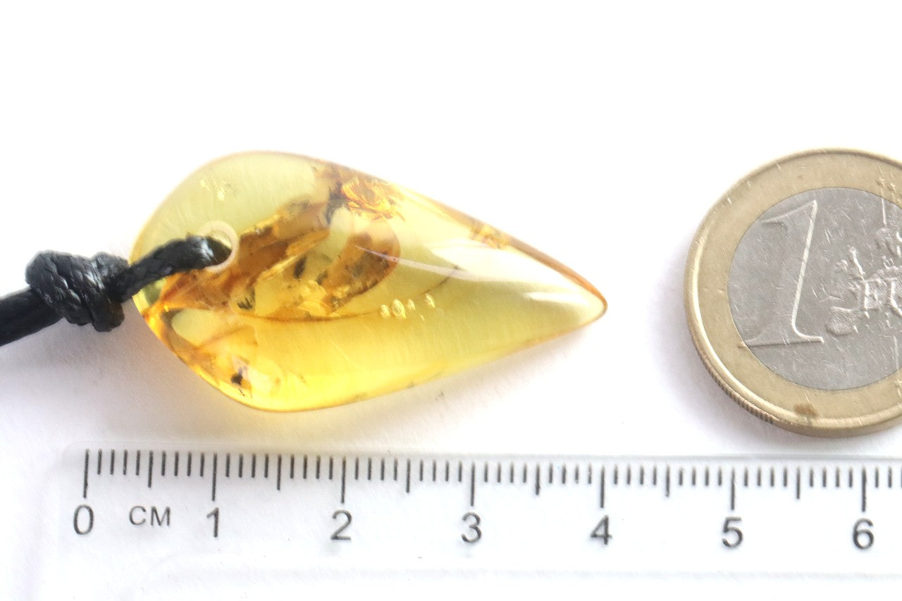 Natural Shape Baltic Amber Amulet