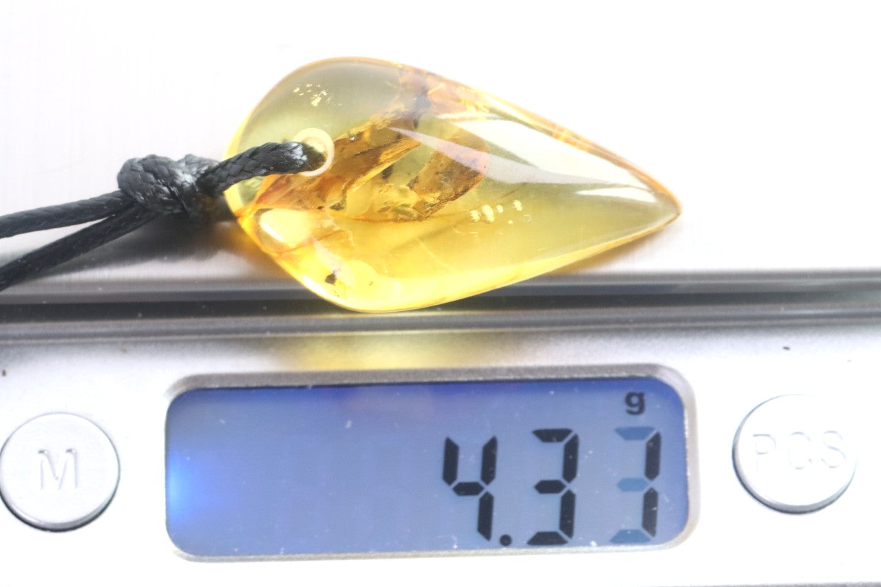 Natural Shape Baltic Amber Amulet