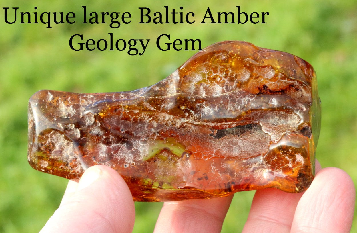 Unique large Baltic Amber Geology Gem Museum Collector's Gem