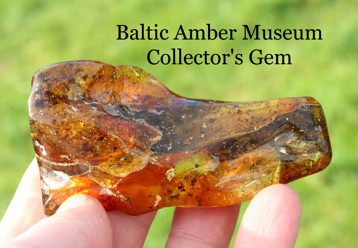 Unique large Baltic Amber Geology Gem Museum Collector's Gem