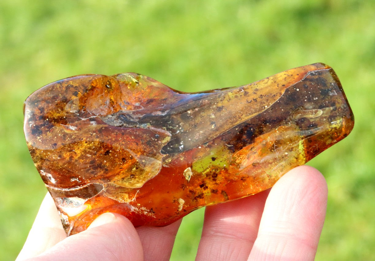 Unique large Baltic Amber Geology Gem Museum Collector's Gem