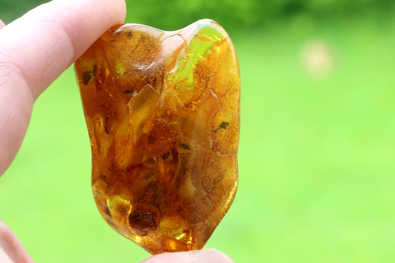Natural Baltic Amber Gemstone