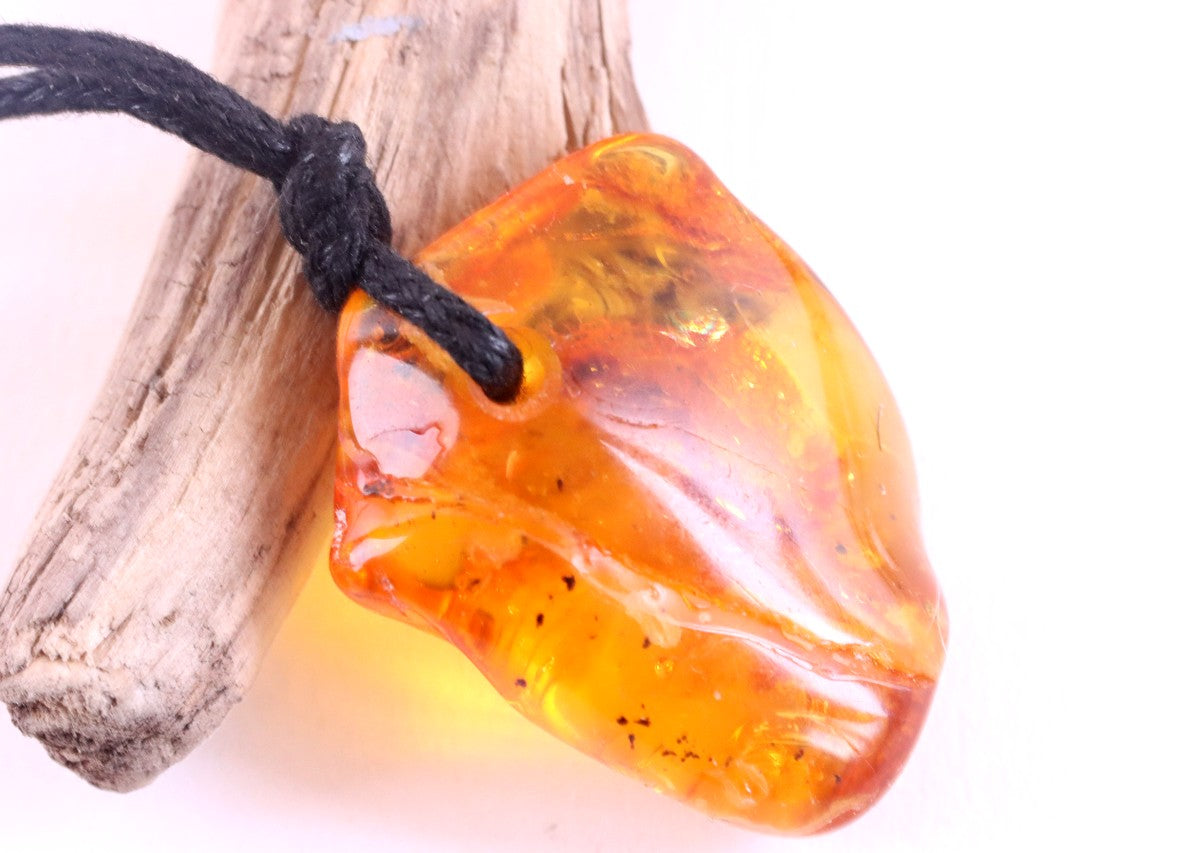 40 Million year old Insect Immortalized in Amber Amulet