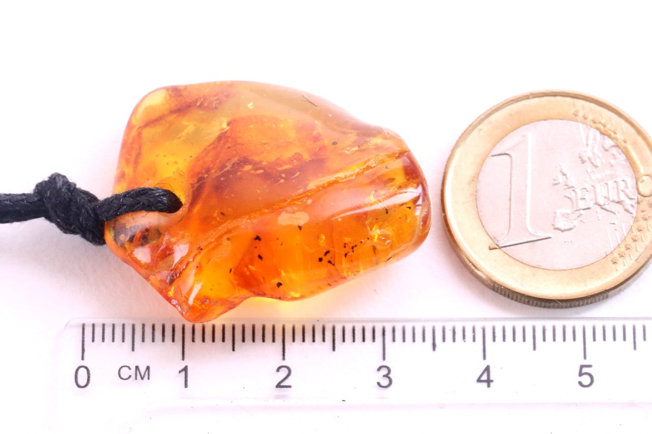 40 Million year old Insect Immortalized in Amber Amulet