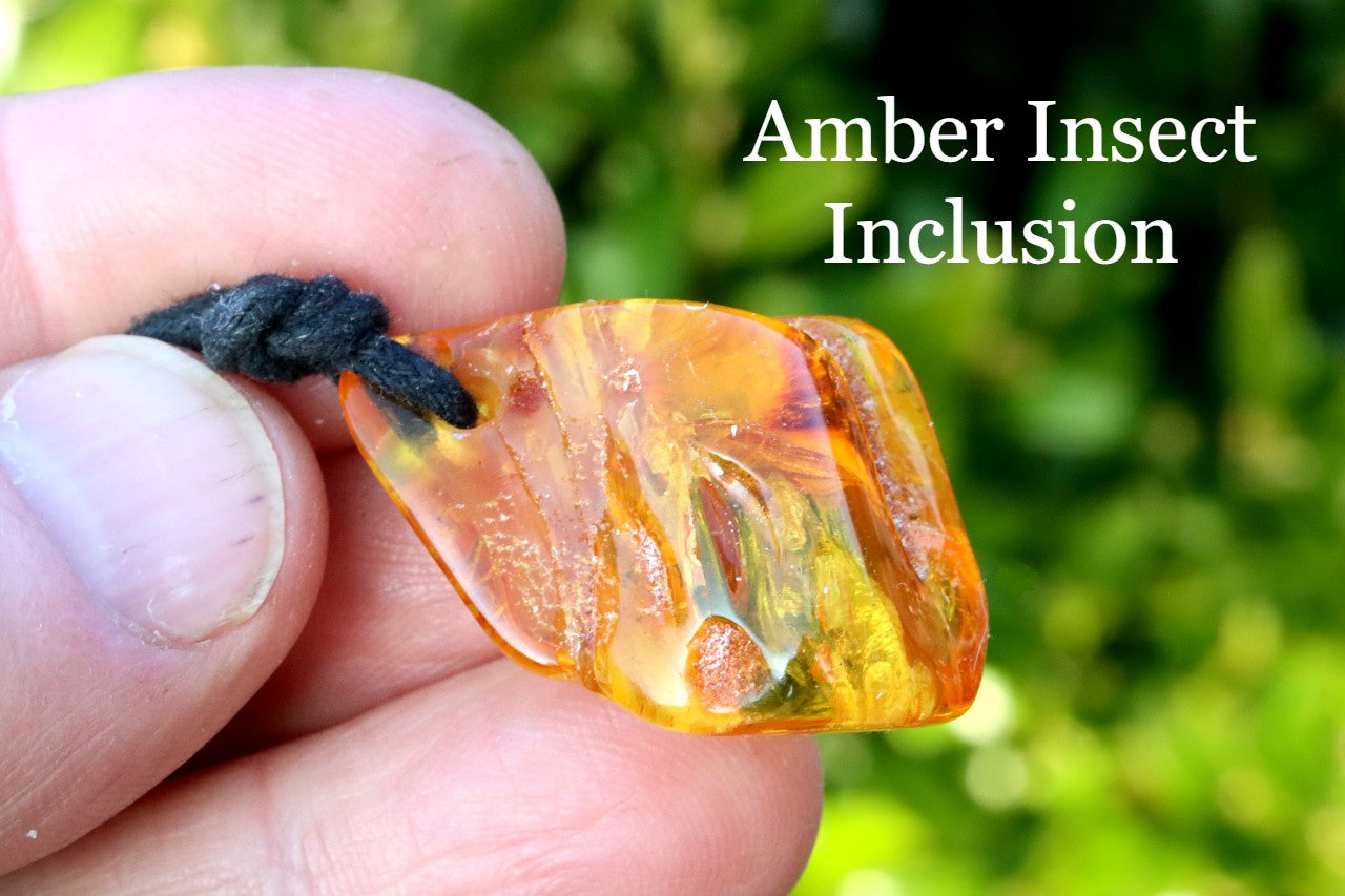 Amulet 40 million year old Insect Inclusions