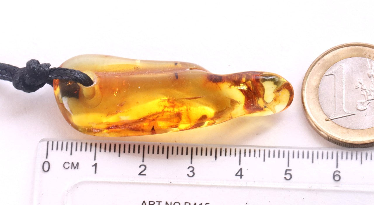 Insect In 40 million year old Baltic Amber