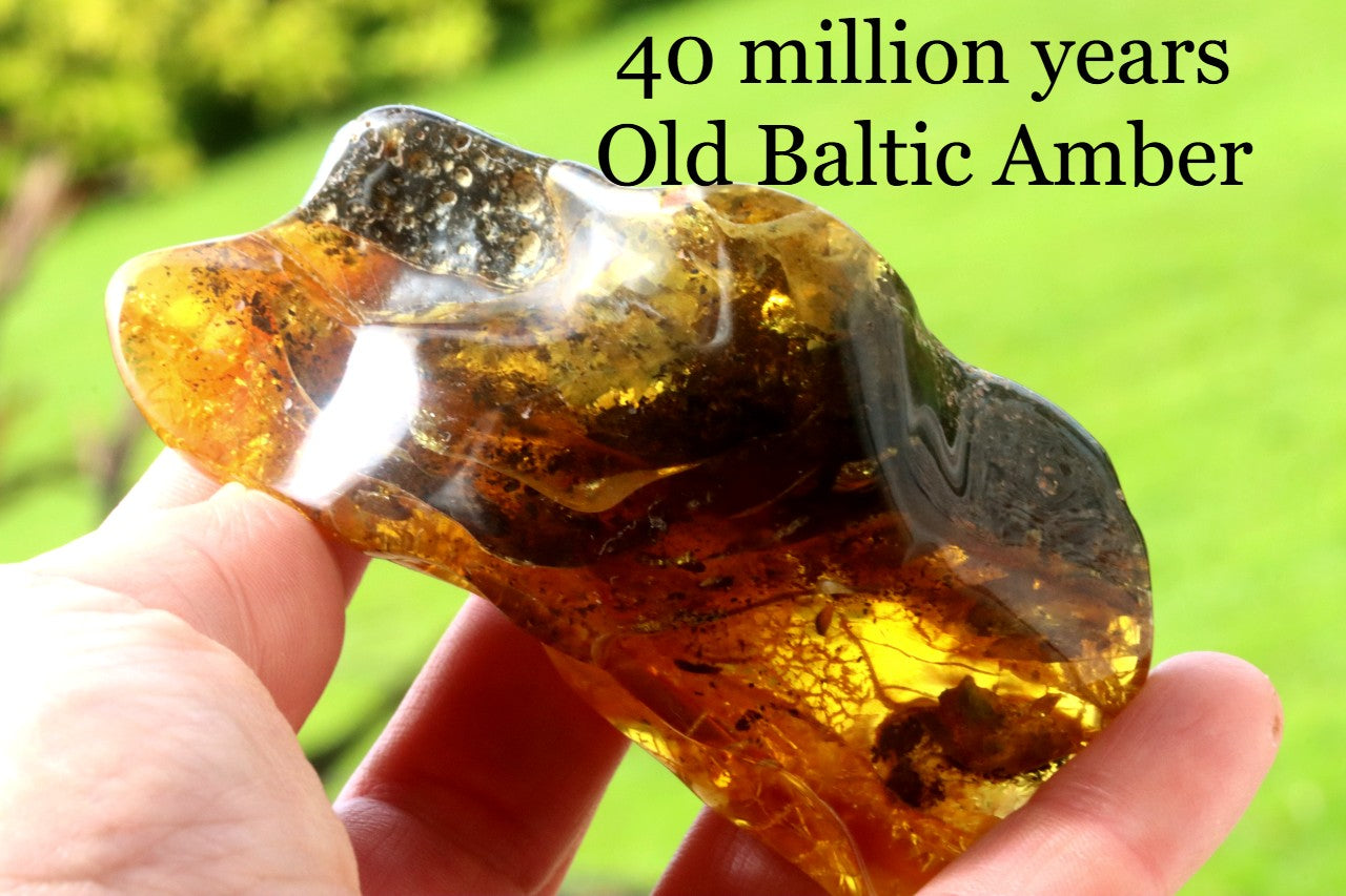 40 Million-Year-Old Baltic Amber Gemstone