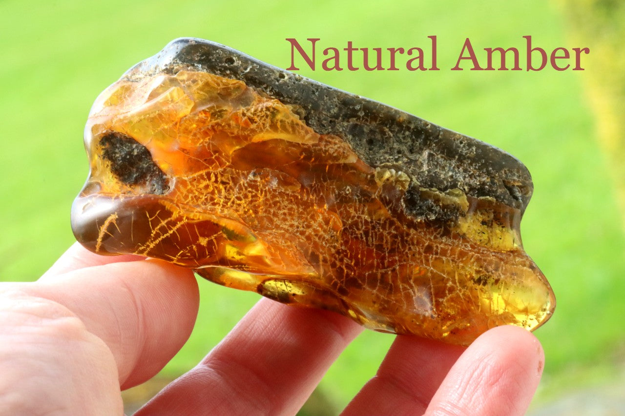 40 Million-Year-Old Baltic Amber Gemstone