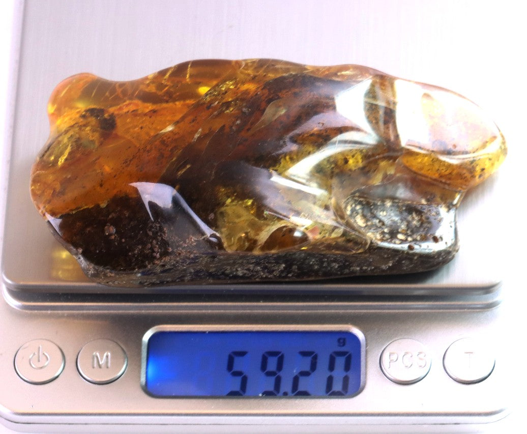 40 Million-Year-Old Baltic Amber Gemstone
