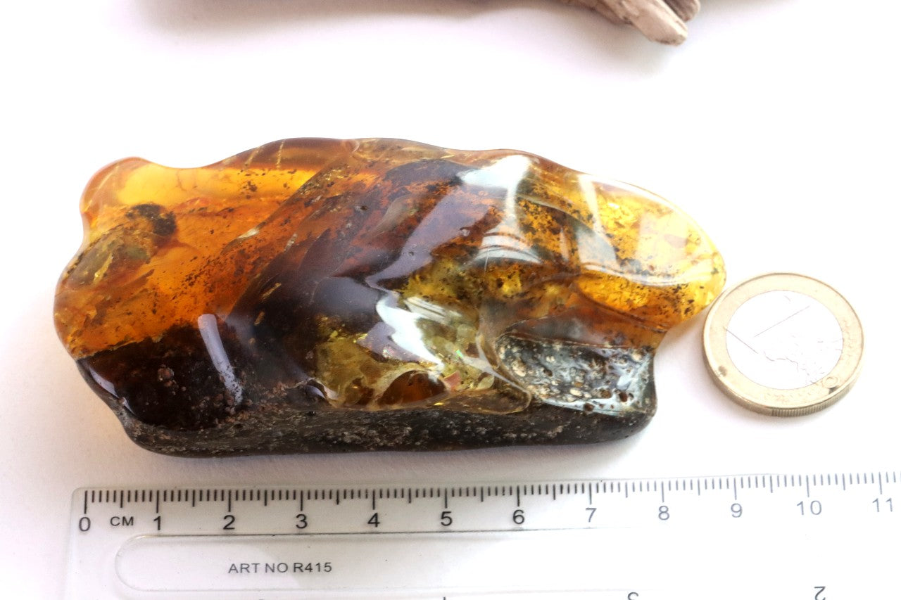 40 Million-Year-Old Baltic Amber Gemstone