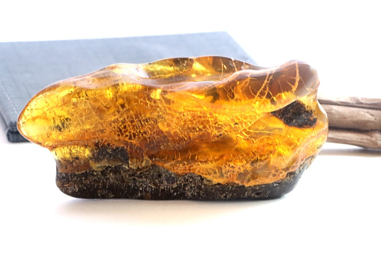 40 Million-Year-Old Baltic Amber Gemstone