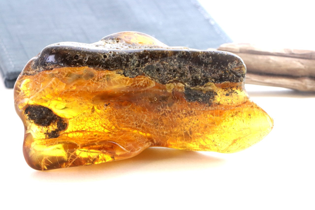 40 Million-Year-Old Baltic Amber Gemstone